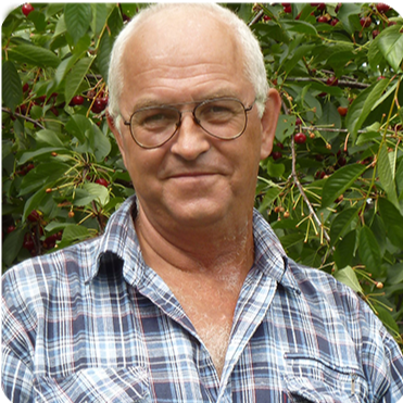 Gold Align Customer Reviews Third Person